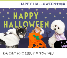 HAPPY HALLOWEEN☆ハロウィン