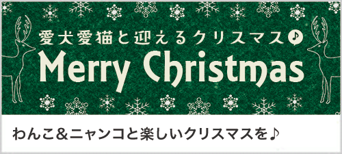 Happy Christmas☆