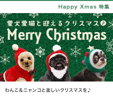 Happy Christmas☆