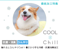 【接触冷感・消臭抗菌・UVカット】COOL Chill