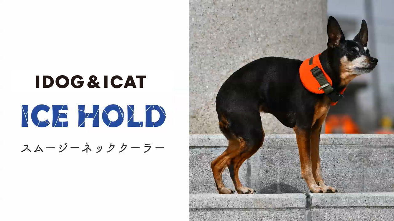 犬服 犬グッズ 猫用品 卸売 仕入れ Idog Icat