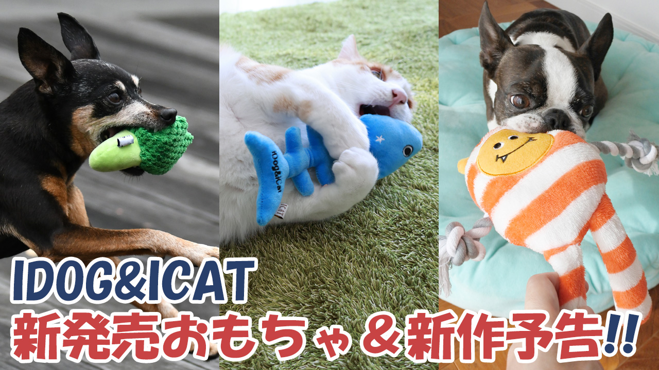 犬服 犬グッズ 猫用品 卸売 仕入れ Idog Icat 犬服 犬グッズ 猫用品 卸売 仕入れ Idog Icat