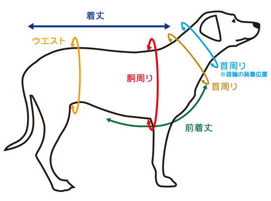 お洋服のサイズについて | 犬服 犬グッズ 猫用品 卸売 仕入れ IDOG＆ICAT