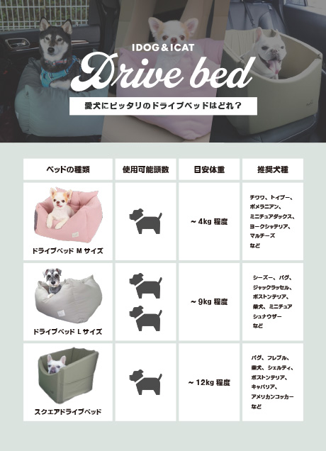 ドライブベッド