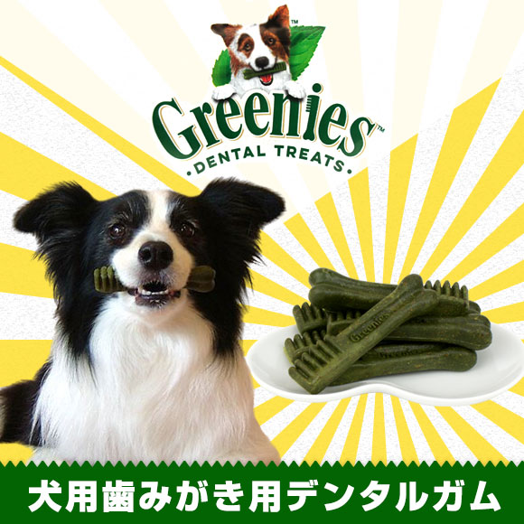 卸売 グリニーズ Greenies ペット 犬 おやつ 犬服 犬グッズ 猫用品 卸売 仕入れ Idog Icat 卸売 グリニーズ Greenies ペット 犬 おやつ 犬服 犬グッズ 猫用品 卸売 仕入れ Idog Icat